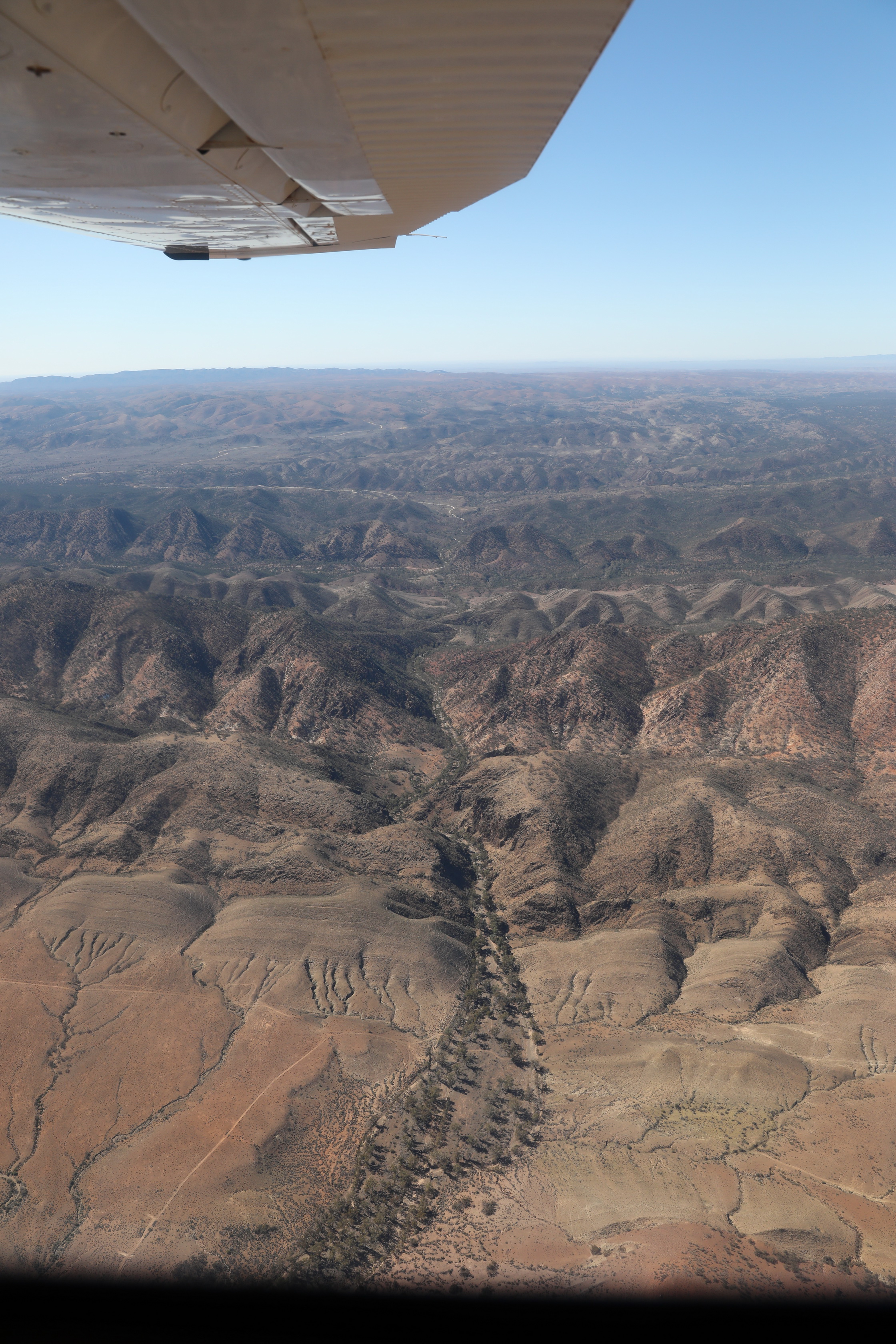 2019 09 02 10 12 23 Canon EOS 5D Mark IV 0009